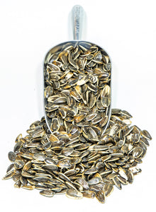 Raw Sunflower Seeds in the Shell